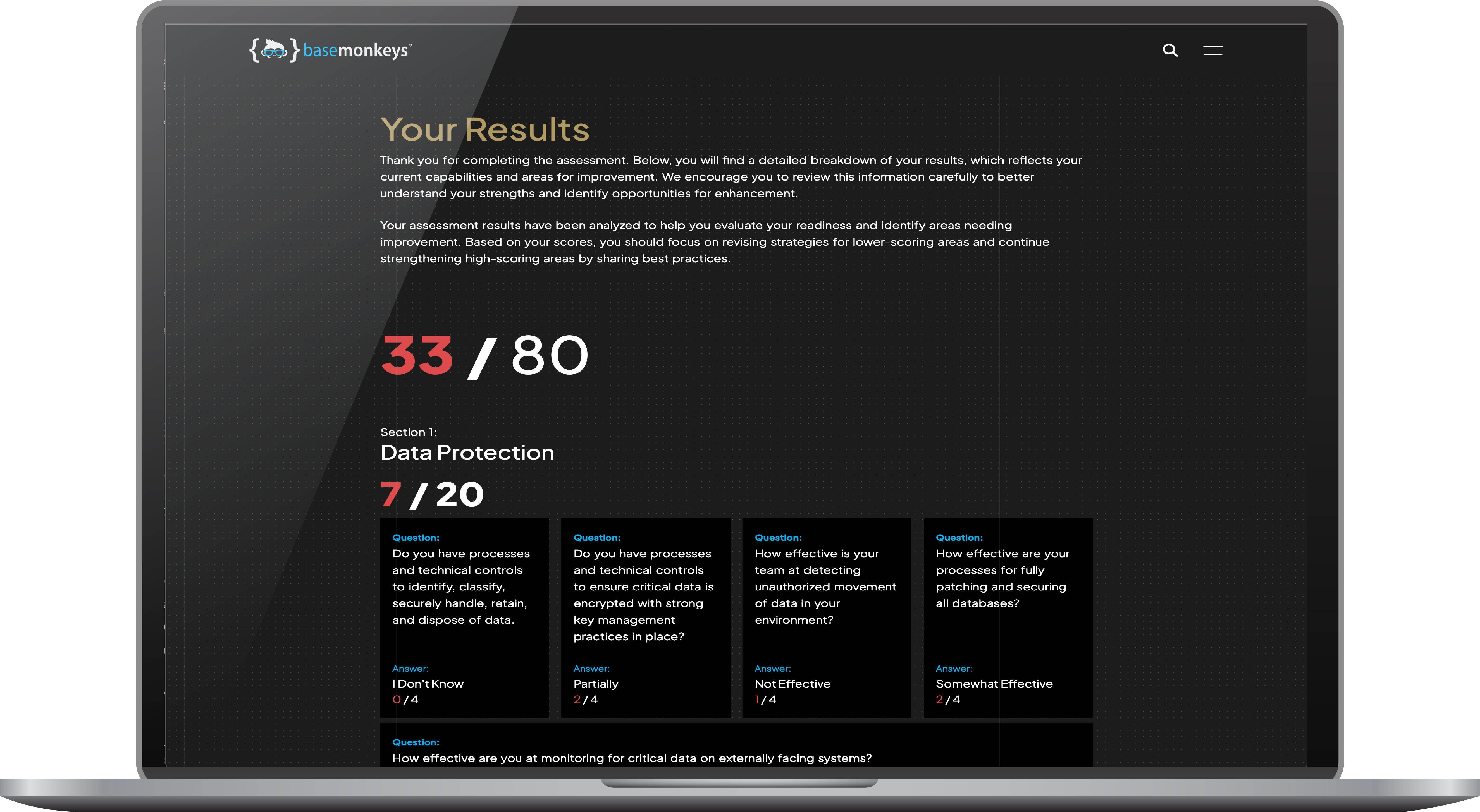 BaseMonkeys Maturity Your Results