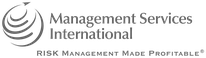 management services international