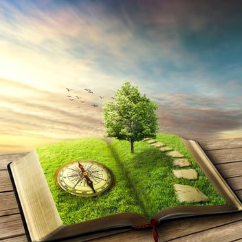 A book opened with a tree growing from the middle and compass in the grass